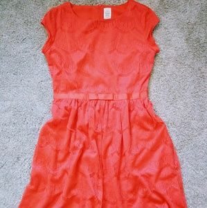 Shabby Apple Alice lace dress